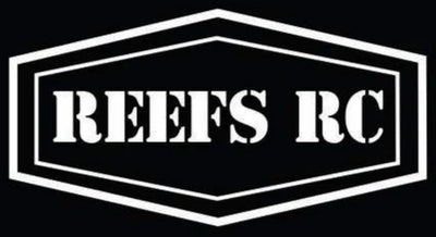 Reefs RC high-torque servo for RC crawler