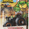HWFYJ83 TMNT Michelangelo