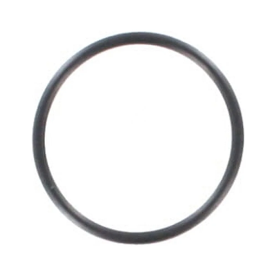 23107101 O-ring for backplate