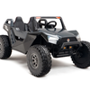 Clash 24V 4WD All Terrain Kids Ride On Buggy With MP4 And Air Blower