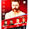 JHJ24 WWE Main Event Series Sheamus Figure