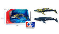 NSR3328 Blue Whale RC