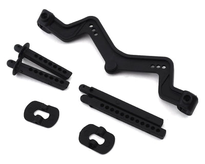 ASC71066 Team Associated DR10 Body Mount & Posts