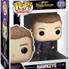 FU59480 Hawkeye