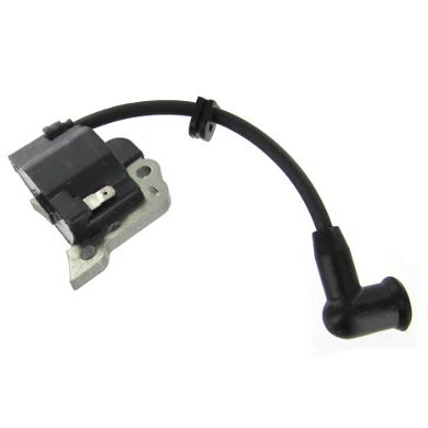 25040 Ignition Coil and Wire