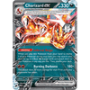 PKU100-10417 Pokemon Charizard ex Special Collection