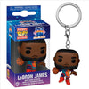FU56235 LeBron James Key Chain