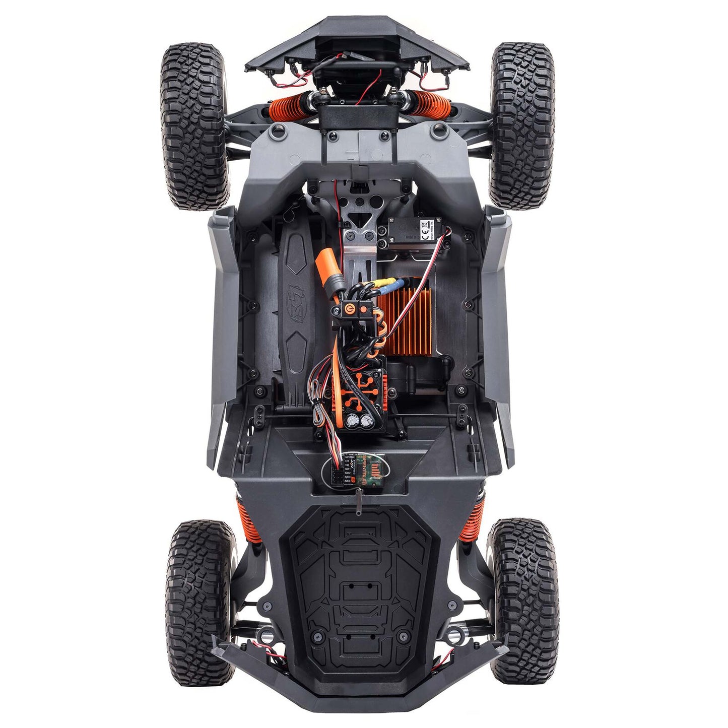 LOS03029 1/10 RZR Rey 4X4 Brushless RTR