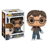 FU10988 Harry Potter Prophecy