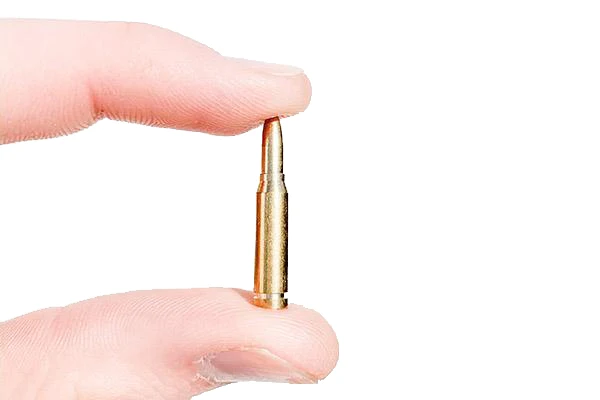 GoatGuns .50 cal Dummy Rounds (10)