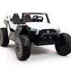 Clash 24V 4WD All Terrain Kids Ride On Buggy With MP4 And Air Blower