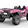 Utility Clash 24V 4WD All Terrain Kids Ride On Buggy With MP4 And Air Blower