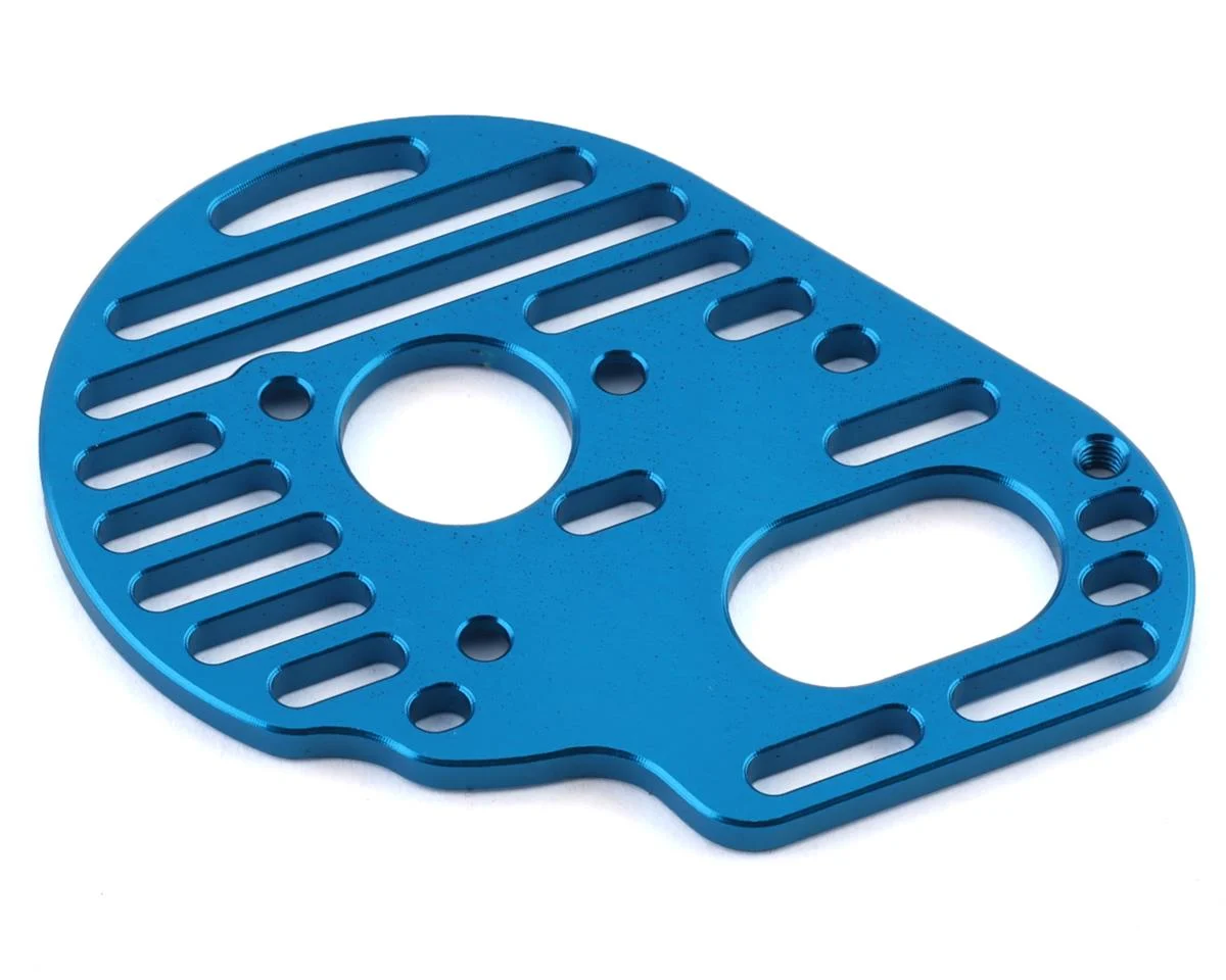 EXO1994 DR10 Motor Plate