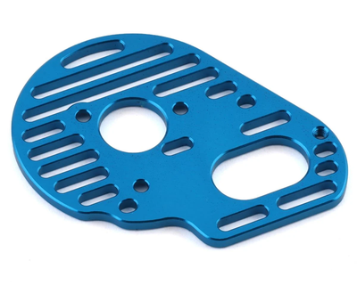 EXO1994 DR10 Motor Plate