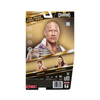 JHJ72 WWE Main Event Champions Series The Rock Final Boss Figure