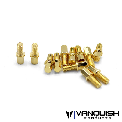 VPS01703 SLW Hub Scale Screw Kit (Gold) (12)