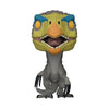 FU55293 Therizinosaurus