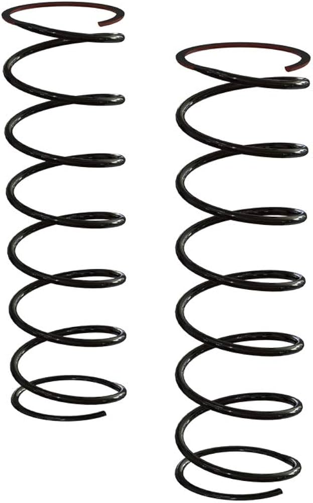 AR330539 Rear Shock Springs