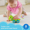 Roll the turtle to see the balls pop, bounce, and move inside