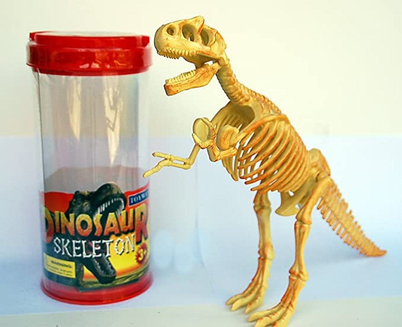 IMX49701 - Dinosaur Skeleton
