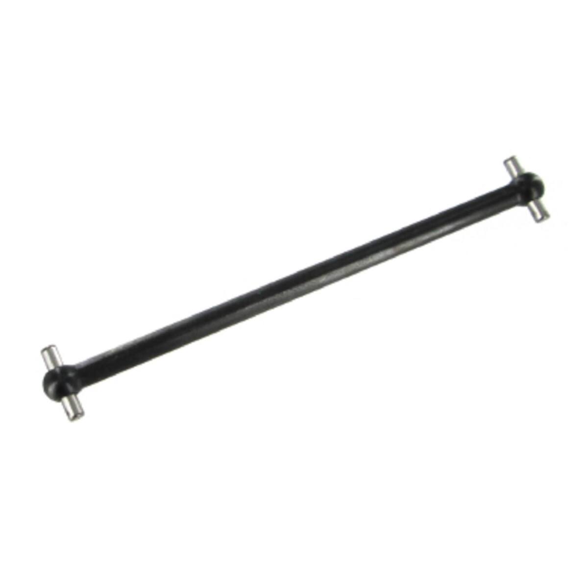 BS810-023  Dog Bone