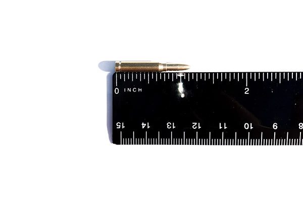 GoatGuns .50 cal Dummy Rounds (10)