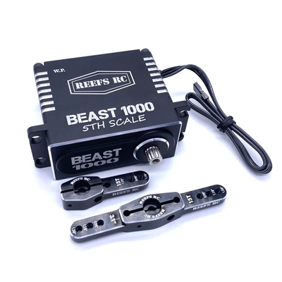 REEFS102 Beast 1000 1/5th Scale Servo